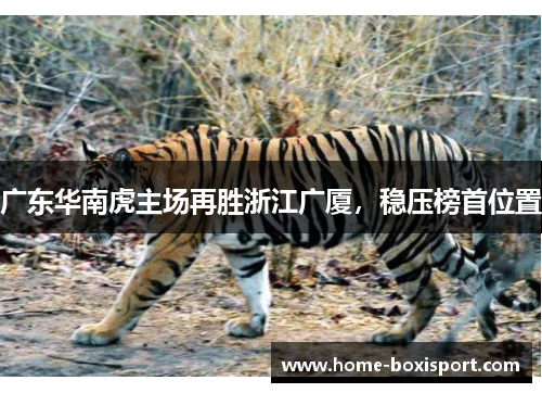 广东华南虎主场再胜浙江广厦，稳压榜首位置